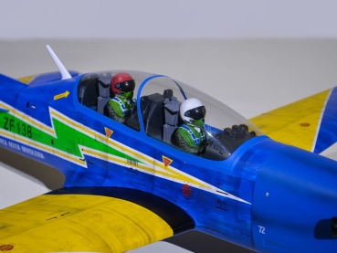 PH237 Phoenix Tucano 50CC GP/EP ARF Carbon
